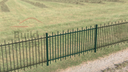 MEP5 metal fence RAL6005