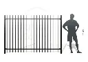 Metal fence RAL9005 (2).webp