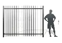 Metal fence RAL9005 (3).webp