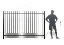 Metal fence RAL9005 (7).webp