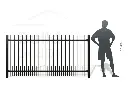 Metal fence RAL9005 (8).webp