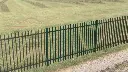 Metal fence RAL6005 (15).webp