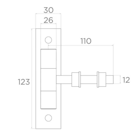 Hinge adjustable M12 123x30mm