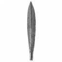 [K50.190] Dekoratīvā lapiņa 2 mm H250 x L45 mm