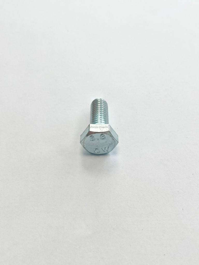 Skrūve M10x25 (15gab)
