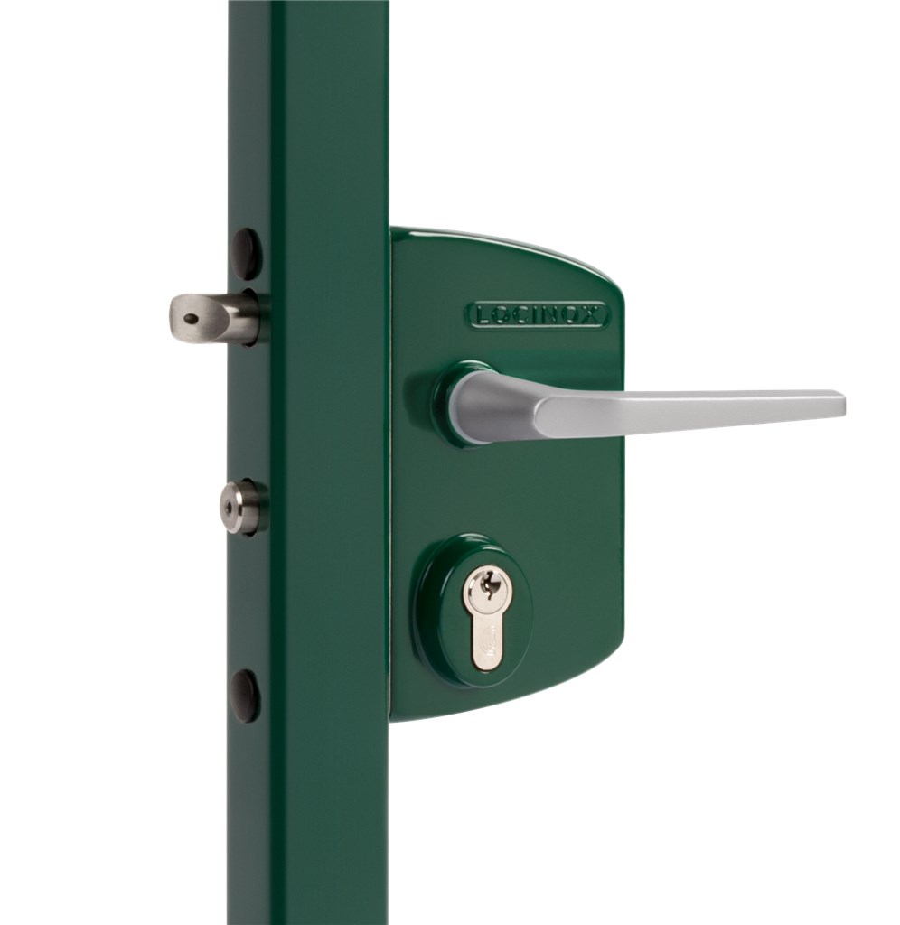 Locinox industrial lock 40-60mm RAL6005