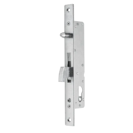 [63.209.02] Lock for sliding gate H250 L25 mm