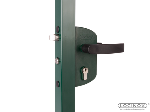 [BS.LAKZ4040P1L6005VCAP] Ornamental lock Locinox RAL6005
