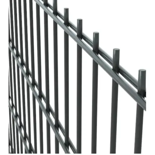 [2D.868.2030.7016] 2D Paneļu žogs 8/6/8mm, H2030mm (200x55mm), RAL7016