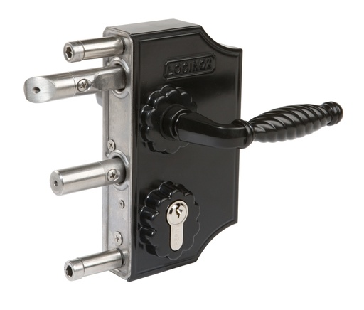 [LAKQ3030H2L9005VSZFA] Ornamental lock LOCINOX, 30-50 mm, RAL 9005 (black)